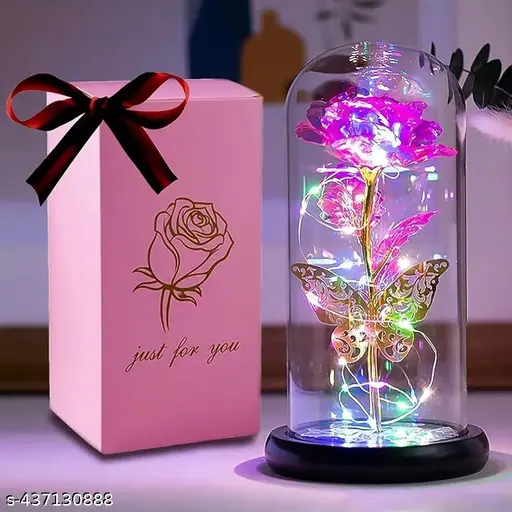 Rose Flower Gifts for Woman with Timer – Birthday, Anniversary Flowers Gifts for Mom Wife from Daughter Son Husband, Enchanted Glass Rose Grandma Mom Gifts for Mothers Day