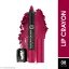 Colors Queen Color It All Lip Crayon Lipstick | Non Transfer Lip Crayon with Sharpener (Plum Pick, 3.5g)